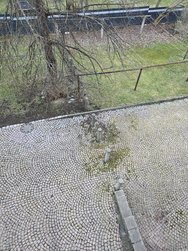 20250220_163805.jpg