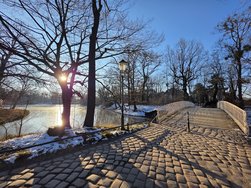 20250220_083243.jpg