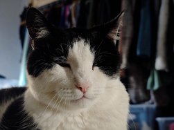 IMG_20250219_161708.jpg