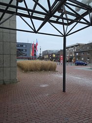 20250220_173053.jpg