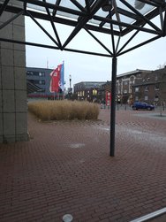 20250220_173055.jpg