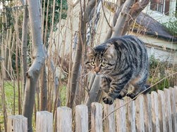 IMG_20250218_171450373 (1).jpg