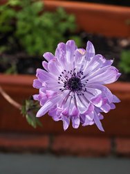 IMG_20250220_160839.jpg