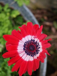IMG_20250220_161008.jpg