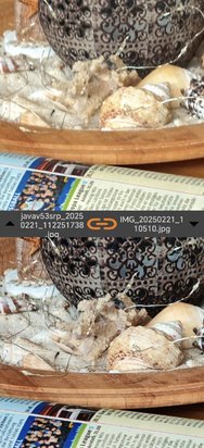 Screenshot_20250221_112558_com_vincentengelsoftware_vesandroidimagecompare_SideByS.jpg