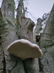 20250221_123612.jpg