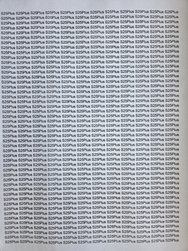 20250221_132508.jpg