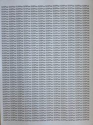 20250221_132518.jpg