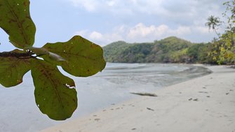IMG_20250220_115910.jpg