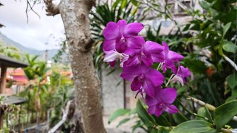 IMG_20250219_175848.jpg