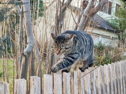 IMG_20250218_171451482.jpg