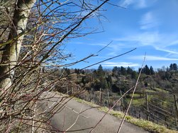 IMG_20250221_142302129_HDR.jpg