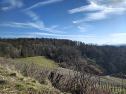 IMG_20250221_144334495_HDR.jpg