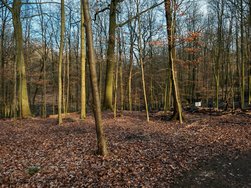 IMG_20250221_171243.jpg