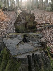IMG_20250221_171226.jpg