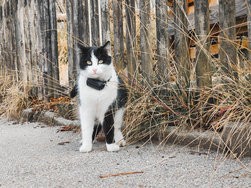 IMG_20250222_101719264 (1).jpg