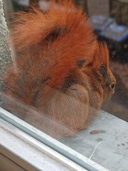IMG_20250222_120446.jpg