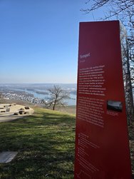 20250217_140035.jpg