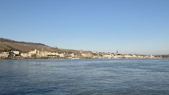 20250217_155549.jpg