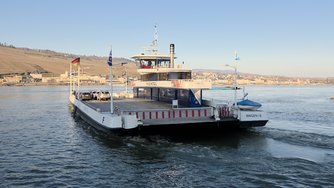 20250217_160248.jpg