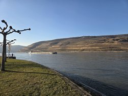 20250217_160858.jpg