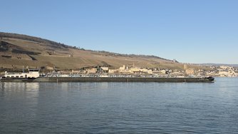 20250217_161033.jpg