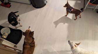 1000031550.jpg