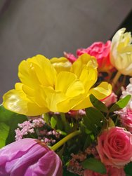IMG_20250218_143830.jpg