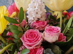 IMG_20250218_143805.jpg