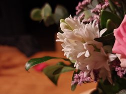 IMG_20250215_231110.jpg
