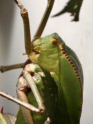 IMG_20250222_145957.jpg