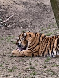 IMG_20250222_113313.jpg