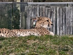 IMG_20250222_105900.jpg