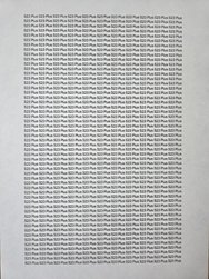 20250223_111047.jpg