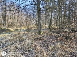 IMG_20250208_110033502_HDR.jpg