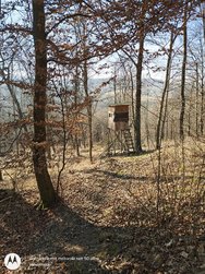 IMG_20250208_110526255_HDR.jpg