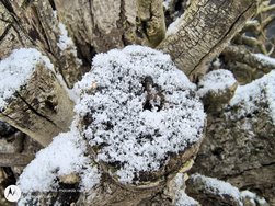 IMG_20250214_100957009_HDR - Kopie.jpg