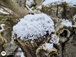 IMG_20250214_101003442 - Kopie.jpg