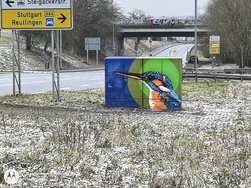 IMG_20250214_101818731_HDR - Kopie.jpg
