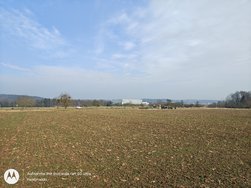 IMG_20250209_111127260_HDR.jpg