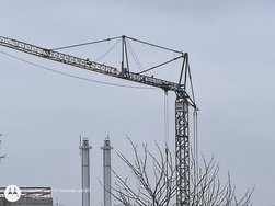IMG_20250214_101219029.jpg