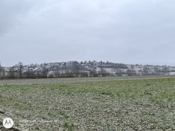 IMG_20250214_101546902.jpg
