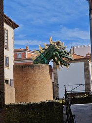 IMG_20250223_131649.jpg