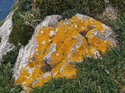 IMG_20250223_142256.jpg