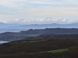 IMG_20250223_141607.jpg