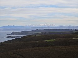 IMG_20250223_141616.jpg