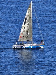 IMG_20250223_125306.jpg