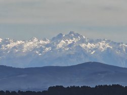 IMG_20250223_141621.jpg