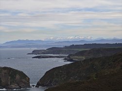 IMG_20250223_141935.jpg