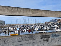 IMG_20250223_121130.jpg